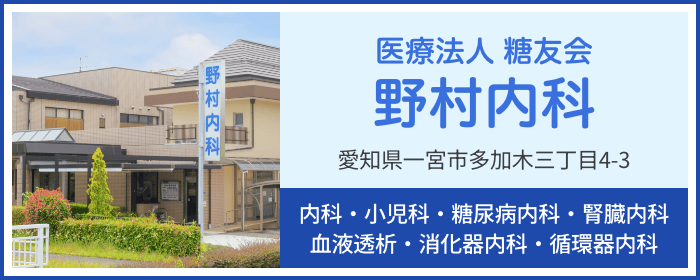 医療法人 糖友会 野村内科バナー